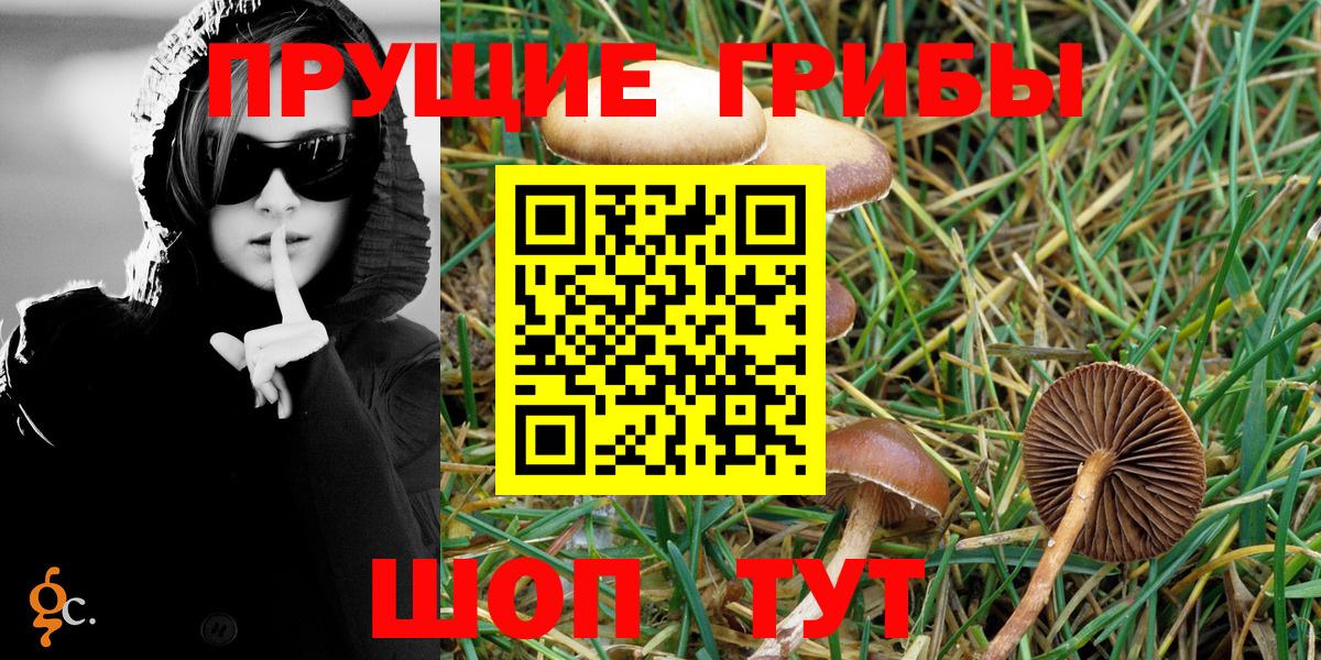 Псилоцибиновые грибы MAGIC MUSHROOMS Магнитогорск