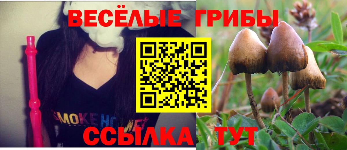 Магнитогорск  Галлюциногенные грибы Magic Shrooms  Вход с VPN  Галлюциногенные грибы прущие грибы 